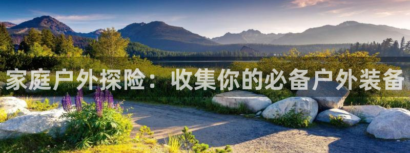 新宝gg登录页面