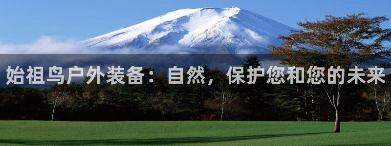 新宝gg代理条件