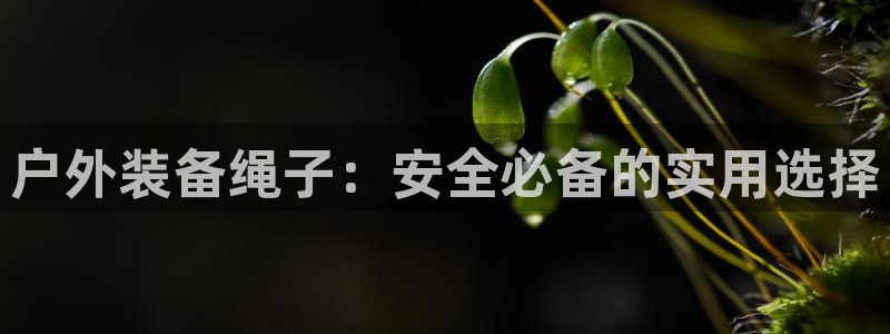 新浪新闻新宝gg