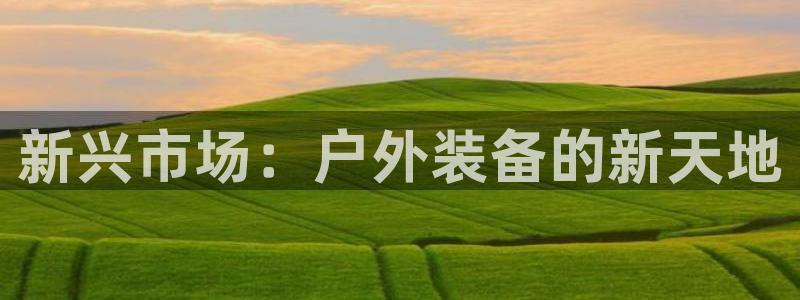 新宝gg返点模式