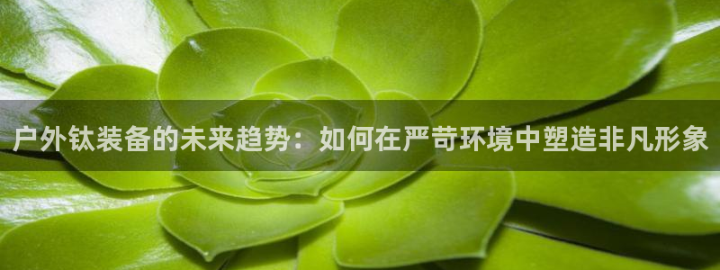 新宝gg平台开发