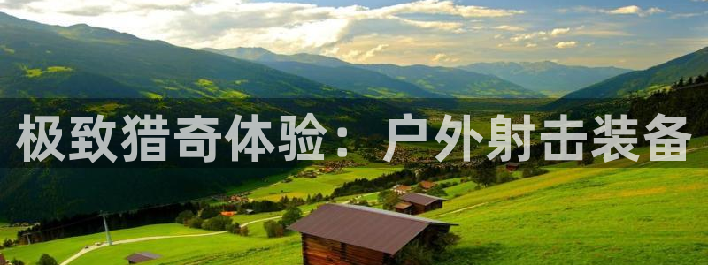 新宝gg登录链接