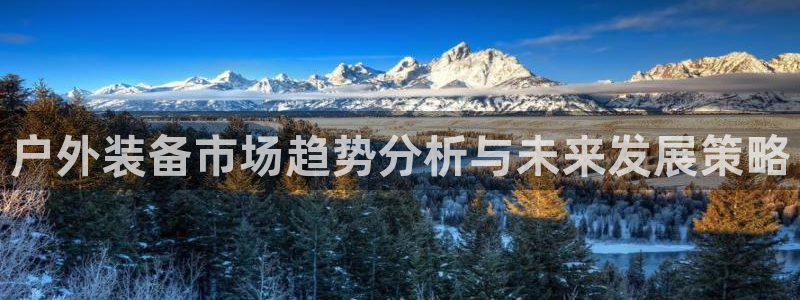 新宝gg招商致胜团队