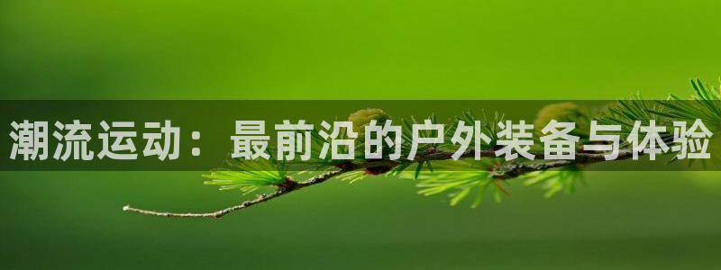 新宝gg手机助手