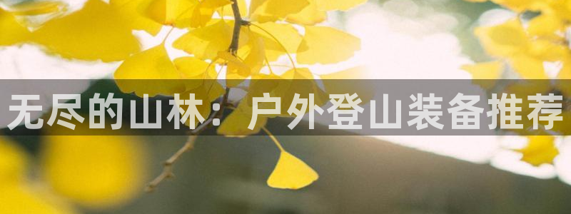 新宝gg客户登录