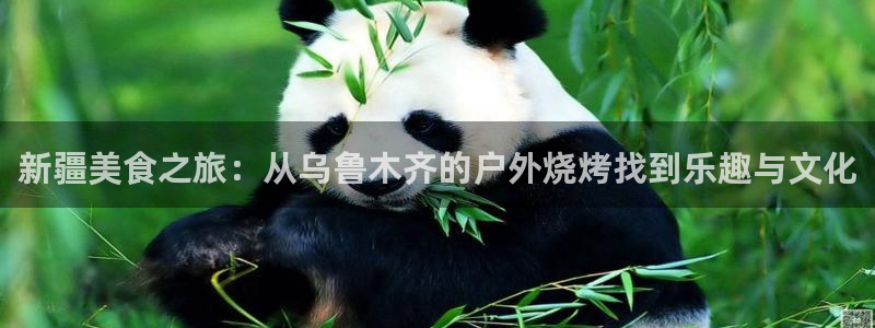 新宝gg平台q891465