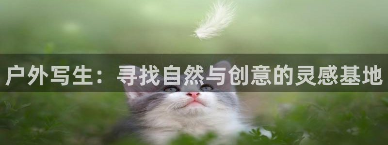 新宝gg找回账号