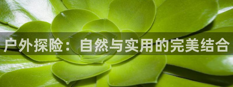 新宝gg平台登录 新宝GG