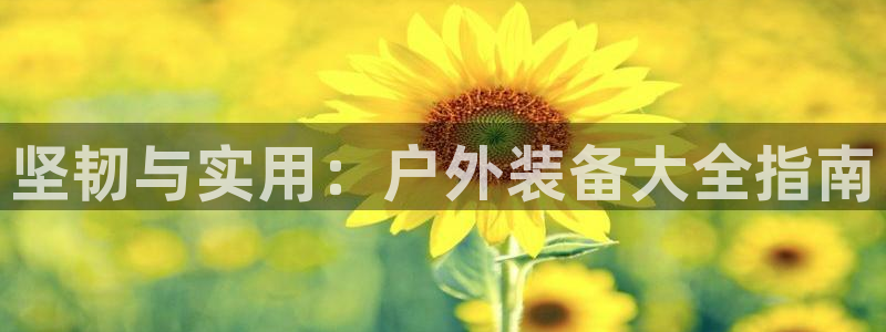 新宝gg创建奇迹