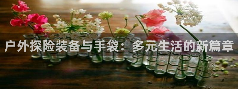 新宝GG苹果版