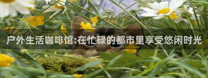 新宝gg手机官网登录