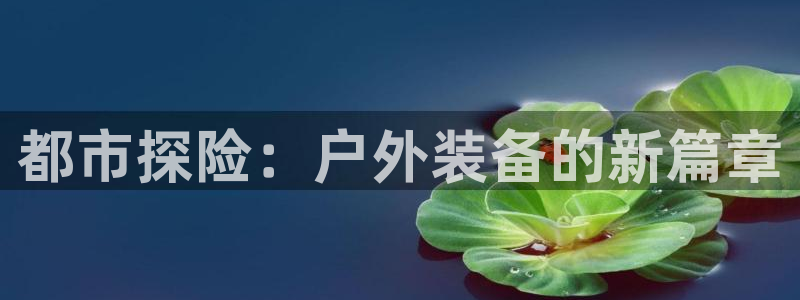 新宝gg平台登录