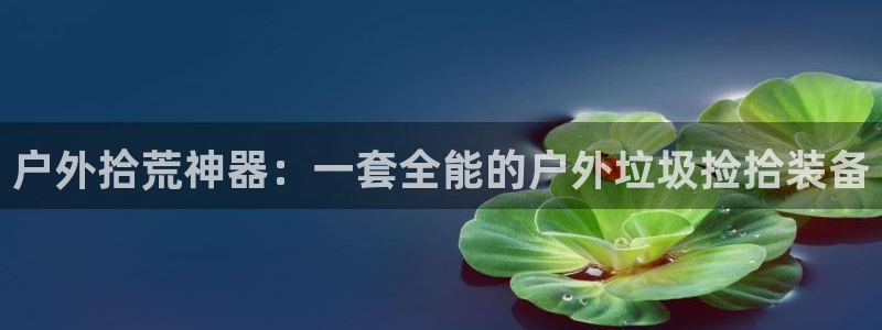 新宝gg会员登录