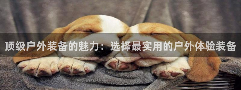 新宝GG网址新宝2