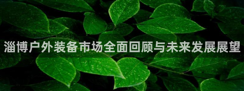 新宝gg直属上级